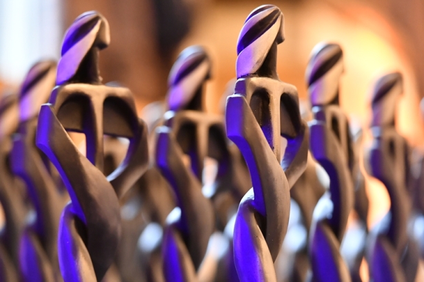 CHKS Top Hospitals Awards trophies
